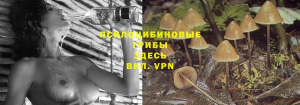 МДПВ Алексеевка