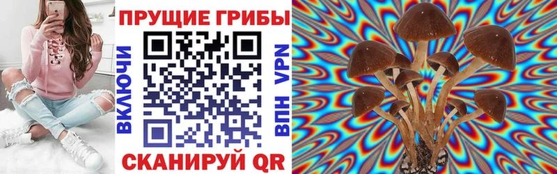 Псилоцибиновые грибы Cubensis  нарко площадка какой сайт  Красково  купить наркоту 